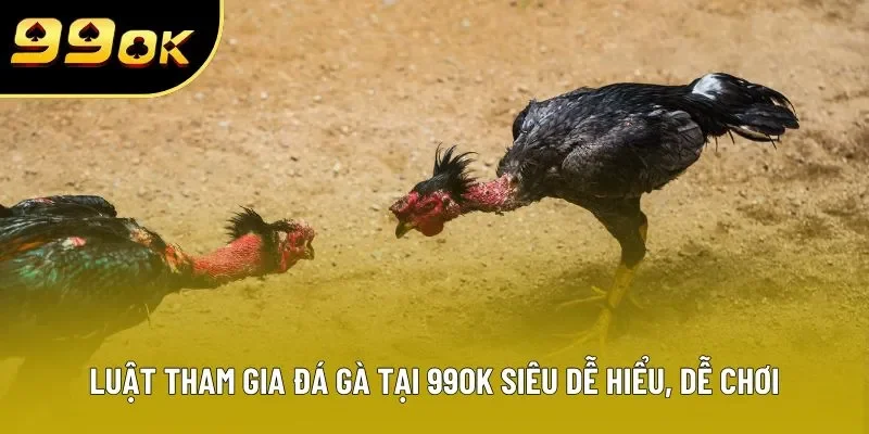 Luật tham gia đá gà tại 99OK siêu dễ hiểu, dễ chơi